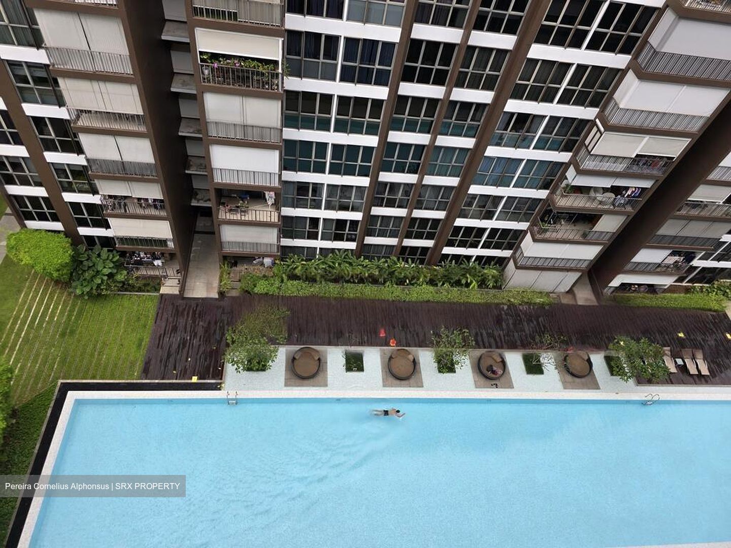 Bellewoods (D25), Condominium #461282371